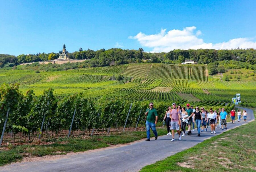 Rüdesheim - Guided wine hikes with 4wines and cable car ride - Four Wine Tastings, Plus Sparkling: What You Actually Get