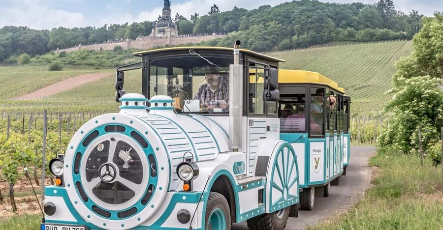 Rüdesheim sightseeing tour with the Winzerexpress - Price and Value: Is $22 Worth It for 30 Minutes?
