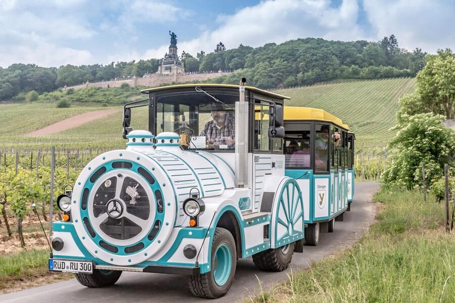 Rüdesheim sightseeing tour with the Winzerexpress - Where You Start: Winzerkeller to the Drosselgasse Area