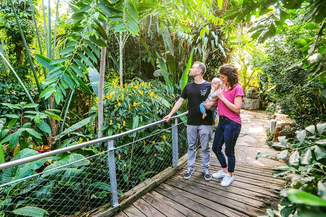 SEA LIFE Hannover Ticket - Tropical Rainforest and the jungle ranger style visit