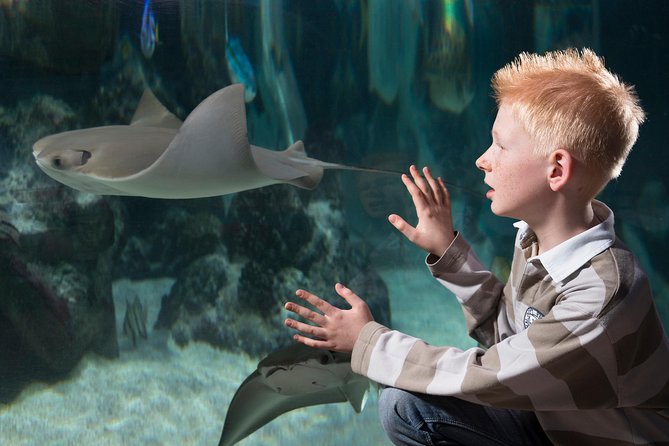 SEA LIFE Hannover Ticket - How long you really need, plus small-group feel and last admission