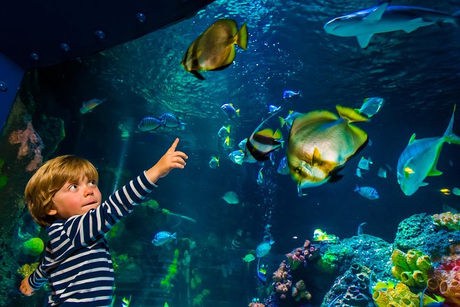 SEA LIFE Konstanz Admission Ticket - Entering SEA LIFE Konstanz with timed entry that saves real time