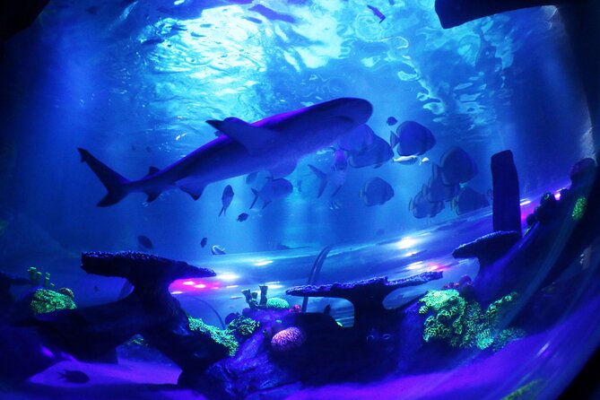 SEA LIFE Konstanz Admission Ticket - How long to plan: a 1 to 2 hour route that moves quickly