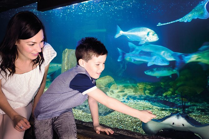 SEA LIFE Munich Admission Ticket - Family-friendly touches: pirate trail and kid energy management