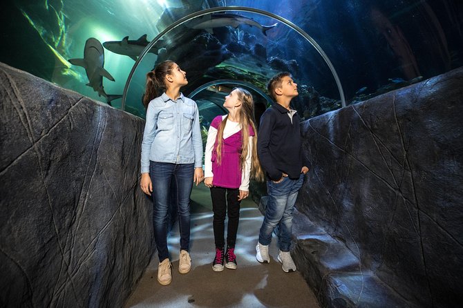 SEA LIFE Munich Admission Ticket - Crowds, room tightness, and your best viewing strategy
