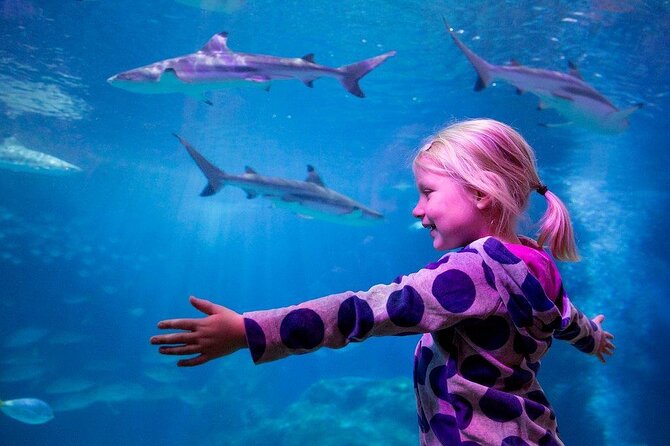 SEA LIFE Oberhausen Admission Ticket - Key highlights