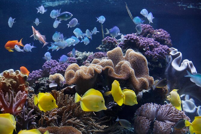 SEA LIFE Speyer Admission Ticket - The self-guided route: how the experience flows from start to finish