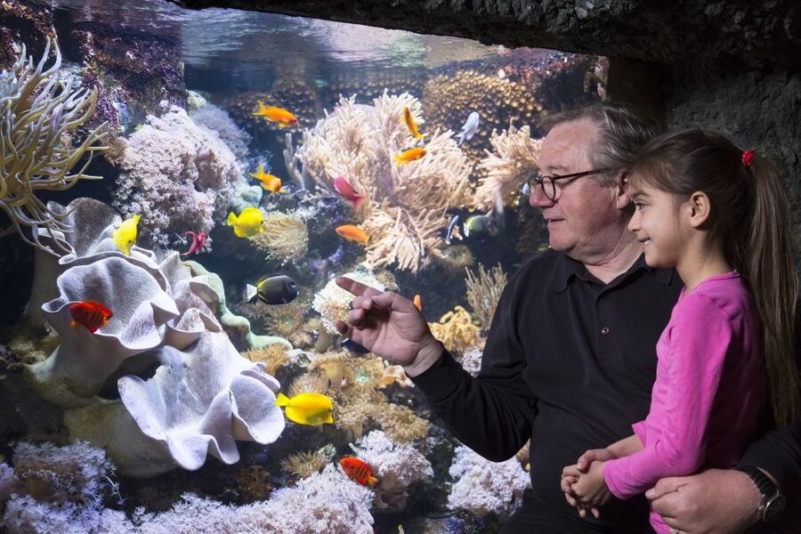Sea Life Speyer Ticket - How Long to Spend, What to Do First, and How to Avoid a Rushed Visit