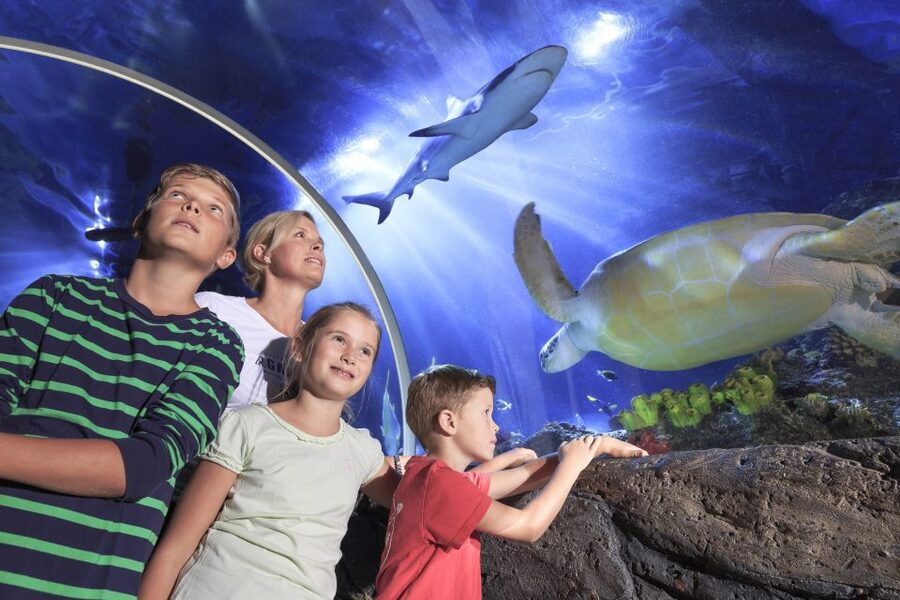 SEA LIFE Timmendorfer Strand Ticket - Entering SEA LIFE by the Baltic Sea, and why the setting matters
