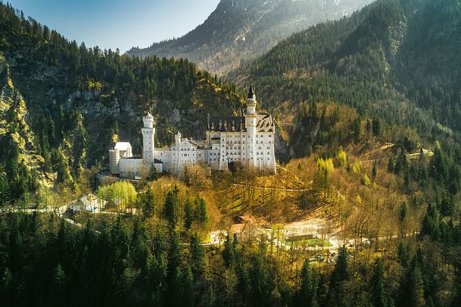Skip The Line Neuschwanstein Castle Tour from Hohenschwangau - The horse carriage ride down: why it is more than a gimmick