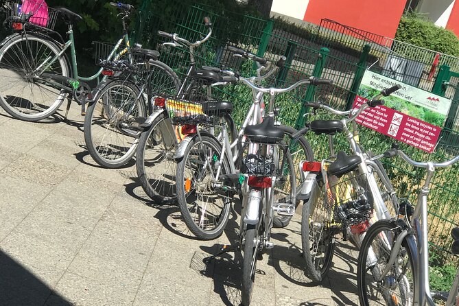 Small-Group Historical Bike Tour in Berlin - Holocaust Memorial, Topography of Terror, and Checkpoint Charlie: A Cold War Route With Moral Weight