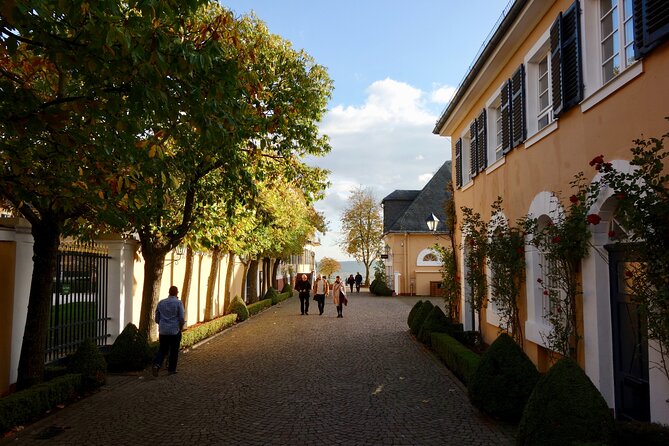 Small Group Rheingau Vineyards Tour with Castles and Abbeys - Kloster Eberbach: where the wine story starts