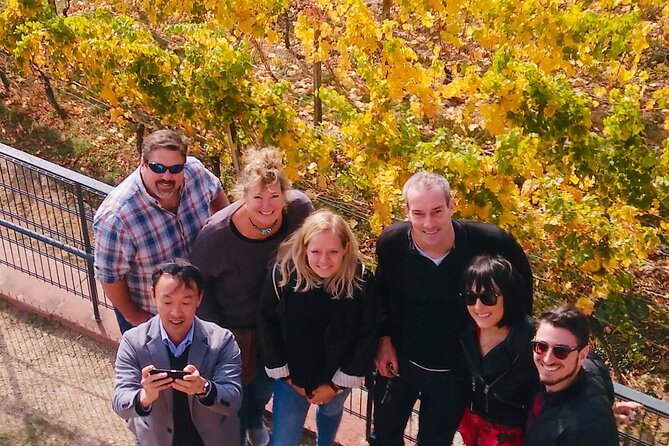 Small Group Rheingau Vineyards Tour with Castles and Abbeys - RheinWeinWelt Rüdesheim: lunch plus a big selection tasting