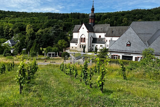 Small Group Rheingau Vineyards Tour with Castles and Abbeys - Weingut Kaufmann: the family estate flight that makes it click