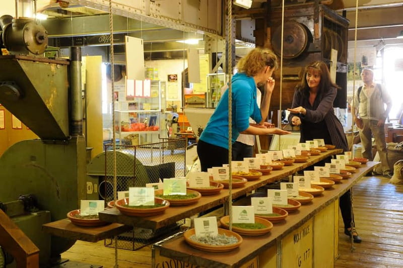 Spicy's Gewürzmuseum Entry Ticket and Audio Guide - Kitchen herbs, seeds, and classic spices on taster tables