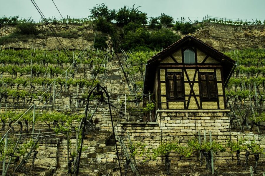 Stuttgart: Guided Vineyards Tour - FAQ
