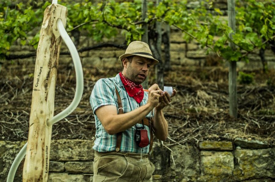 Stuttgart: Guided Vineyards Tour - Your Guide in Traditional Clothes, and What You Learn Along the Way