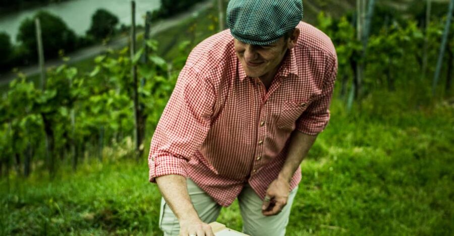 Stuttgart: Guided Vineyards Tour - Five Regional Wines, One Famous Bottle: Cannstatter Zuckerle