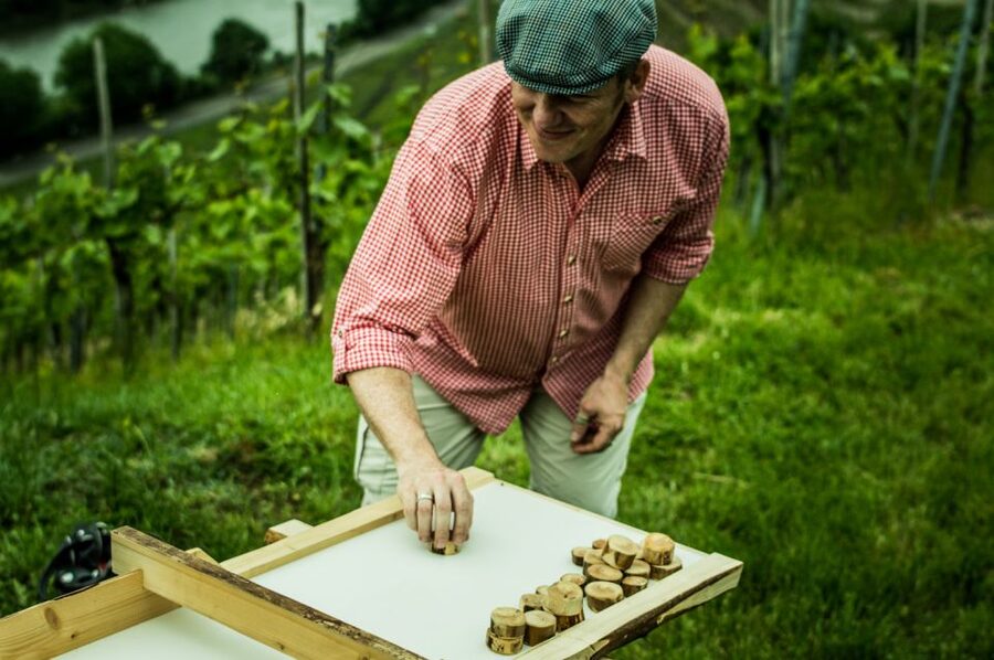 Stuttgart: Guided Vineyards Tour - Wine Games: The Fun Part That Makes the Tasting Stick