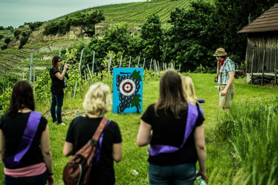 Stuttgart: Guided Vineyards Tour - Who This Stuttgart Vineyards Tour Suits Best