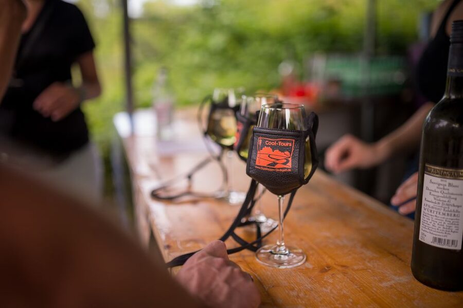 Stuttgart: Guided Vineyards Tour - Practical Tips Before You Go
