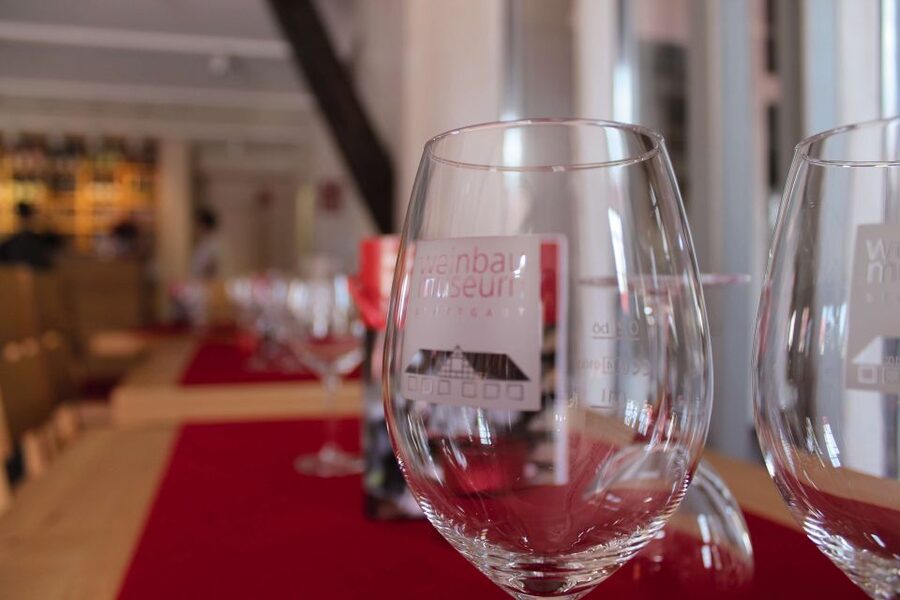 Stuttgart: Stuttgart Wine Museum Wine Tasting - The 3-Wine Flight: What You Taste (and Why Weekly Changes Are a Plus)