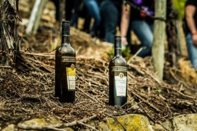 Vineyard Tour by Covered Wagon