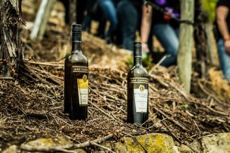 Stuttgart: Vineyard Tour by Covered Wagon - From Riverhouse to the first vineyard sights: the 2-hour rhythm