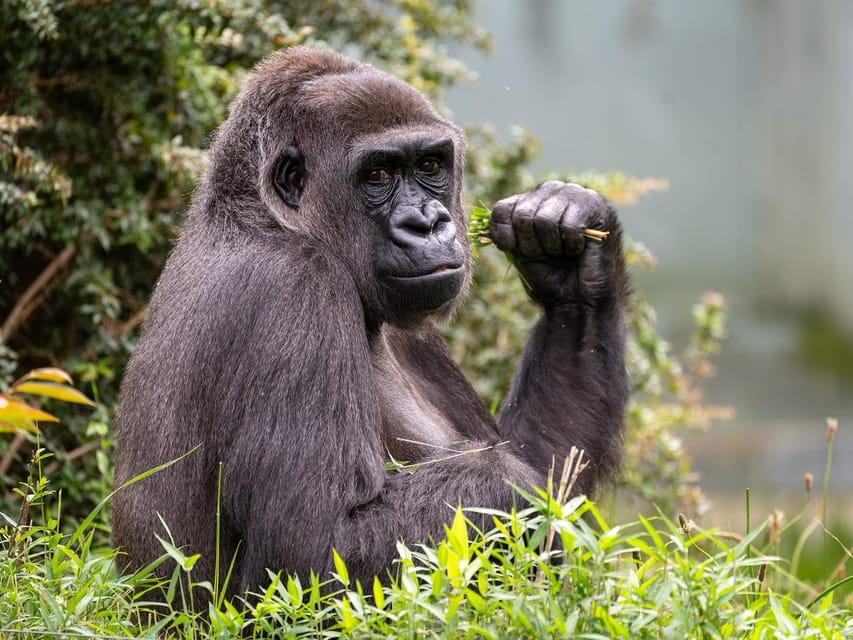 Stuttgart: Wilhelma Zoological-Botanical Garden Ticket - Key highlights