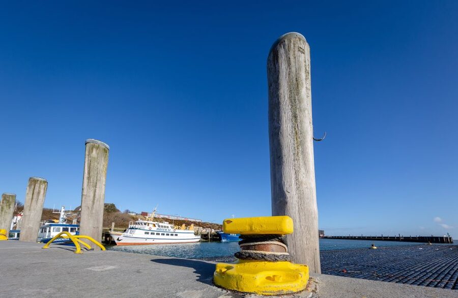 Sylt: Guided Island Tour by Bus with Sylt Highlights - Key points to know before you go