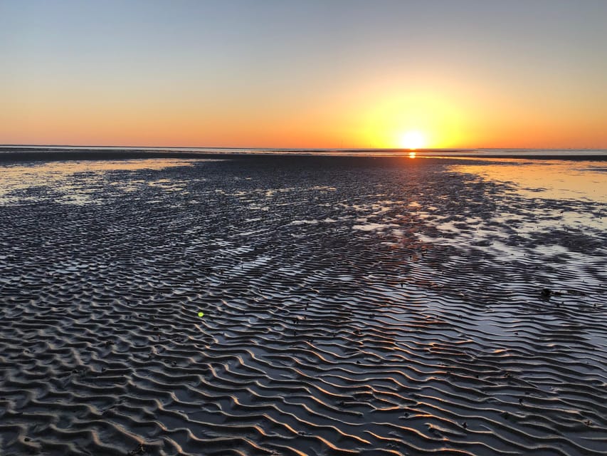 Sylt: Guided Mudflat Hike on the Island - Key highlights you will actually care about