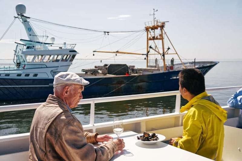 Sylt: Shell safari with boat | incl. Mussel tasting & 1 glass of wine - Who this tour suits best (and who should think twice)