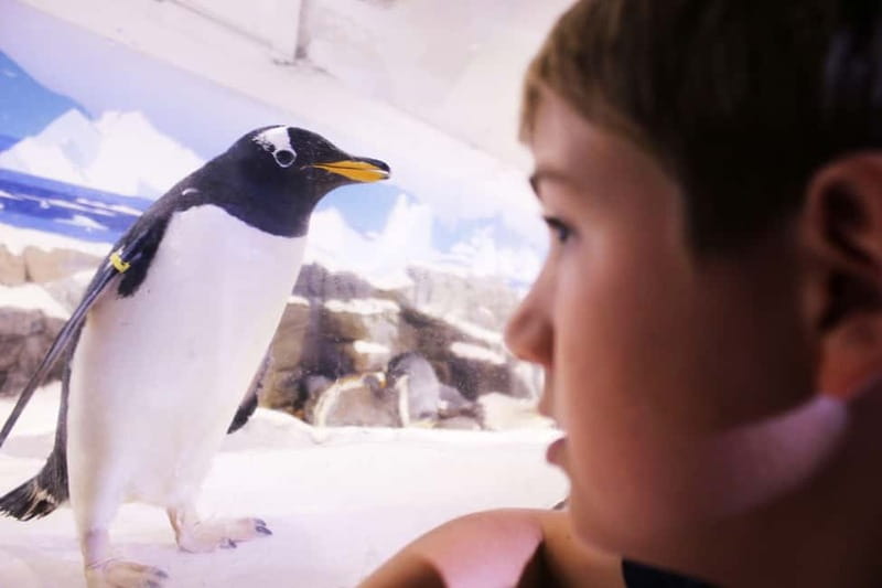 Ticket to SEA LIFE Konstanz - Getting there, parking, and what not to bring
