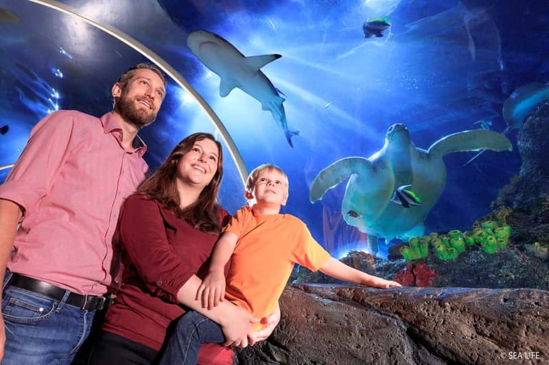 Ticket to SEA LIFE Konstanz - How to pace the route for a full day without feeling rushed