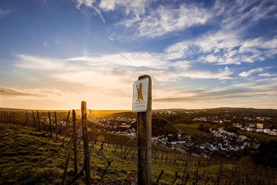 Trier: Discovery Tour - Germany's Oldest Wine Cellar - Key things to know before you go