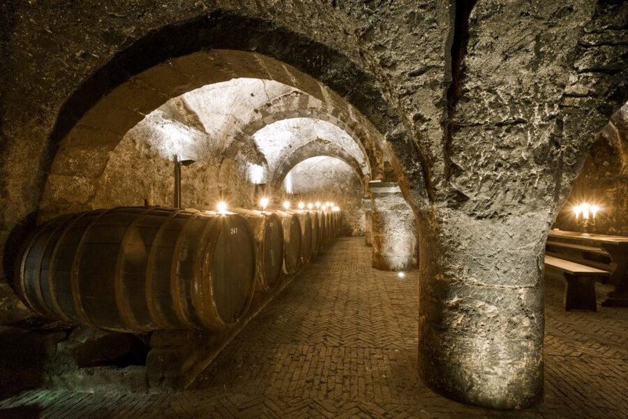 Trier: Discovery Tour - Germany's Oldest Wine Cellar - Should you book? My practical take