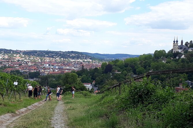 Wine rally in Würzburg with tasting - Sensorium tasting: use your senses, not just your palate