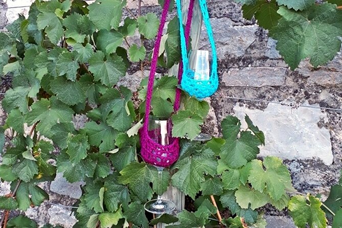 Wine rally in Würzburg with tasting - Wine harp music: when water-filled glasses become a moment