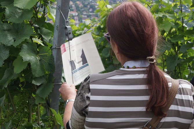 Wine rally in Würzburg with tasting - Meeting at Marienberg Fortress and getting oriented fast