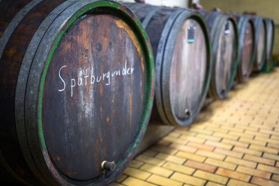 Winetasting with tour through the winery - Why a Mosel cellar tour beats a quick pour