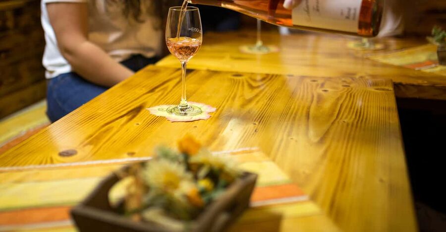 Winetasting with tour through the winery - Inside the cellar for 40 minutes, where fermentation becomes real