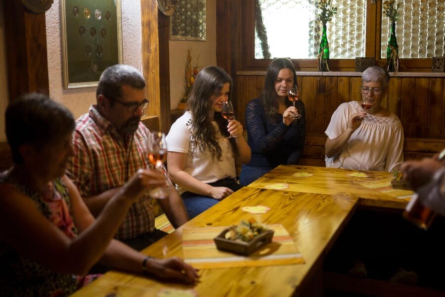 Winetasting with tour through the winery - Vineyard work explained, using the winemaker’s year in words and pictures