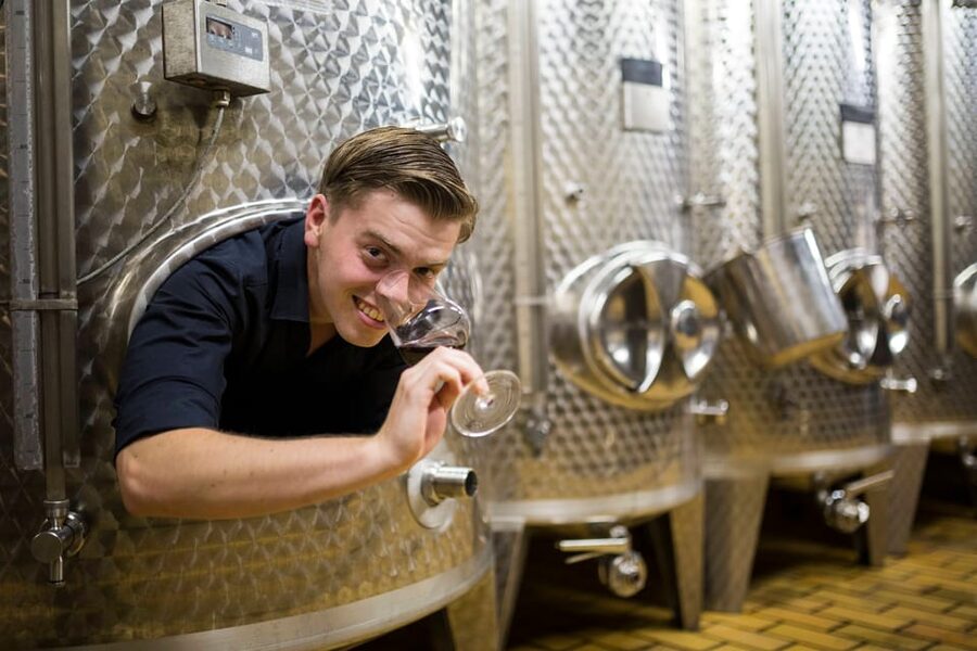 Winetasting with tour through the winery - Price and value: is $16 worth 2 hours of cellar plus tasting?
